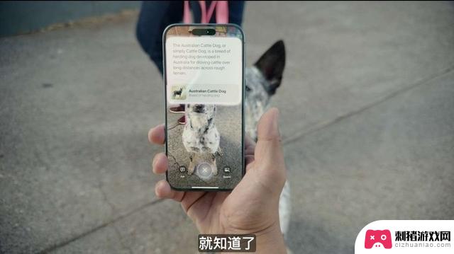 体验iPhone16系列后的心得：我无言以对