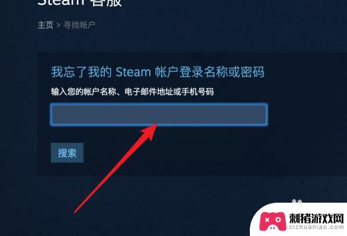 steam怎么密码重置 Steam密码忘记了怎么办