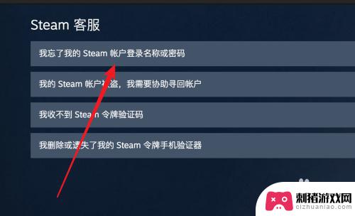 steam怎么密码重置 Steam密码忘记了怎么办