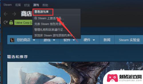 steam怎么看买过的游戏 如何在Steam上查看我已经拥有的游戏