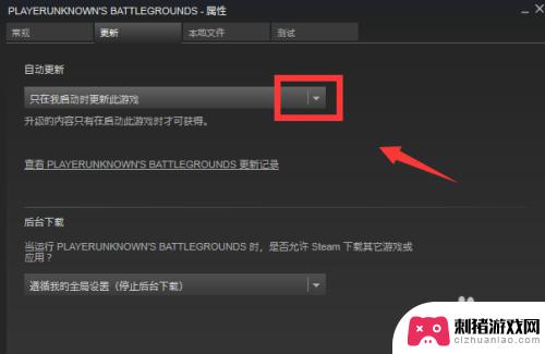 steam更新怎么开启 如何在Steam上设置吃鸡游戏自动更新