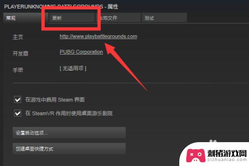 steam更新怎么开启 如何在Steam上设置吃鸡游戏自动更新