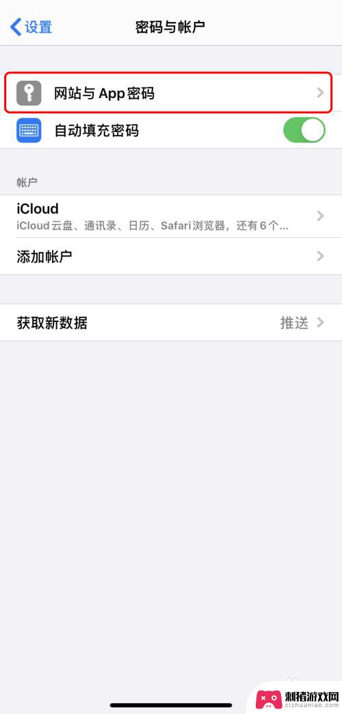 手机帐号密码在哪查看 iPhone如何查看已保存的密码