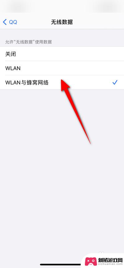 苹果手机无线数据怎么设置 iPhone手机如何设置应用的无线数据