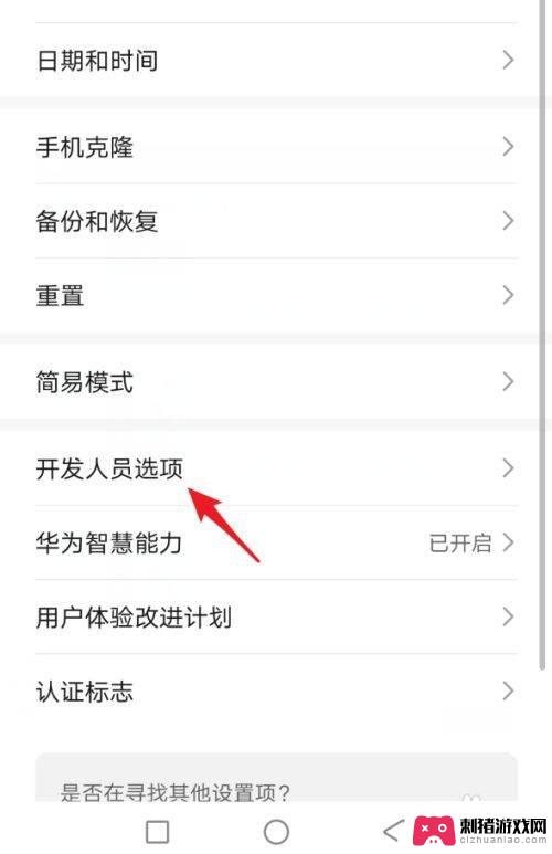 荣耀30手机找不到开发人员选项 荣耀30开发者选项在哪个菜单里