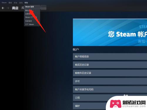 steamapi怎么改 Steam API 怎么调整