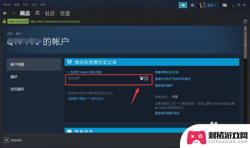 steam上面钱怎么看 Steam账户中的钱包余额如何查看